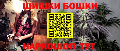 молекула духа Будённовск