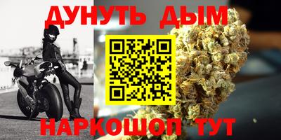 молекула духа Будённовск