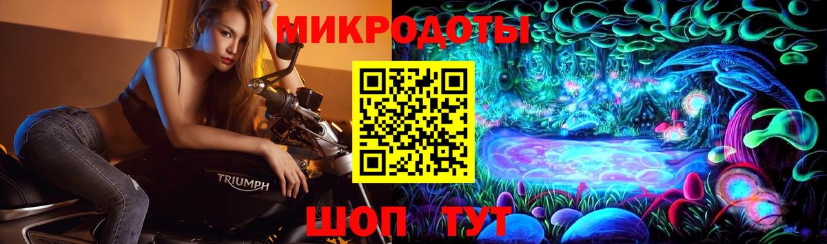 наркотики  Вход с VPN  Стерлитамак  Псилоцибиновые грибы GOLDEN TEACHER  Галлюциногенные грибы GOLDEN TEACHER 